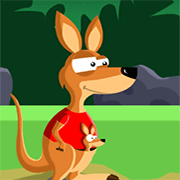 Jumpy Kangaroo
